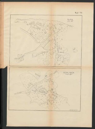 TAF. VII