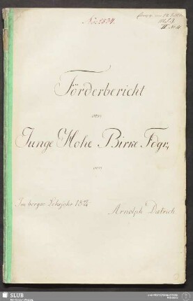 Förderbericht von Junge Hohe Birke Fdgr. - 18.7186 4.