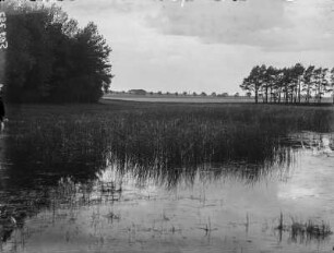 Landschaft bei Wechselburg : Wald und Wasserflächen bei Wechselburg.