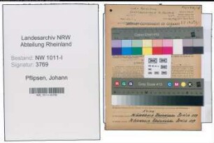 Entnazifizierung Johann Pflipsen , geb. 16.06.1904 (Landwirt)
