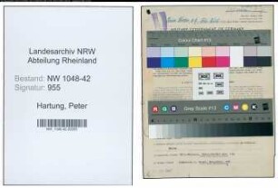 Entnazifizierung Peter Hartung , geb. 21.05.1908 (Werkmeister)