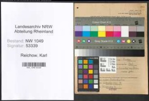 Entnazifizierung Karl Reichow , geb. 10.02.1863 (Steuerhelfer)