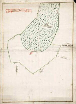 Grundriß über den Wald (Rückseite)
