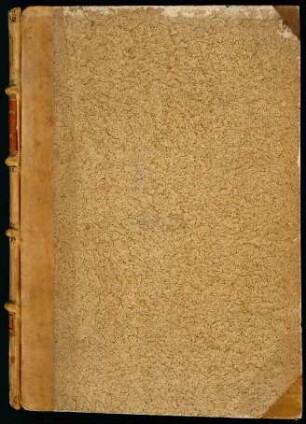 Mammotrectus super Bibliam.