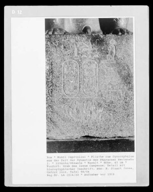 Plinthe zum Cynocephalus aus der Zeit der Dynastie des Pharaonen Nectanabo I.