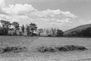 Kulturlandschaft nahe der Stadt Gamo (Äthiopienreise 1937/1938 - 3. Fahrt: von Addis Abeba nach Mogadischu und zurück)