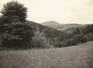 Müglitztal bei Altenberg-Lauenstein. Blick vom Talhang nach Südwesten zum Geisingberg (824 m)