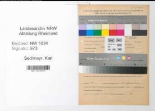 Entnazifizierung Karl Sedlmayr , geb. 11.01.1894 (Oberst)