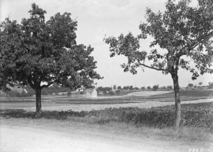 Partie zwischen Ballenstedt und Gernrode