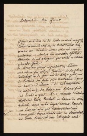 Brief von Ludwig Emil Grimm an Philipp Hoffmeister