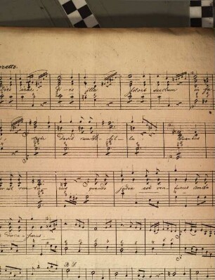 2 Requiem mit Libera in C & D : für ausgesetzte Orgel mit Partitur & unterlegtem lat. Texte, Canto, Alto, Tenore, Baßo, 2 Violinen & 2 Horn