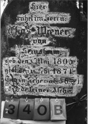 Grabstein 340 (Index: 99752538) Material: Sandstein Zustand: leicht verwittert mit Textverlust Maße HxBxT: 171x52x31 cm Beschreibung: eingezog. Rundbogenabschl. m. stilisiert. Mittel-u. Eckakroteren, Schrift eingetieft Symbolik: Zweige, Blätter: Grabstein 340B