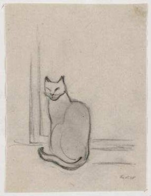 Katzen