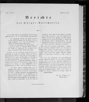 No 2 und 3. Berichte des Bürger=Ausschusses. Februar 1880.