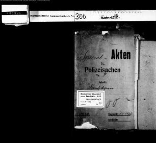 Polizeiberichte der Gendarmerie und Dienstführung derselben