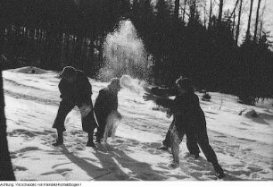 Winter, Mirze auf dem Winterberg