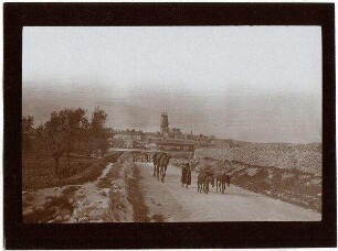 Dormitio v. d. Strasse z. D. Kolonie [Jerusalem]