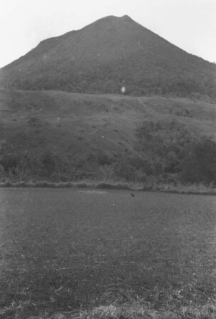 Reisfelder und Sinaboen : Landschaft mit Reisfeldern und Berg im Hintergrund