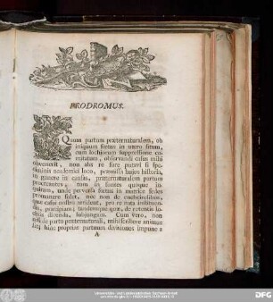 Prodromus.