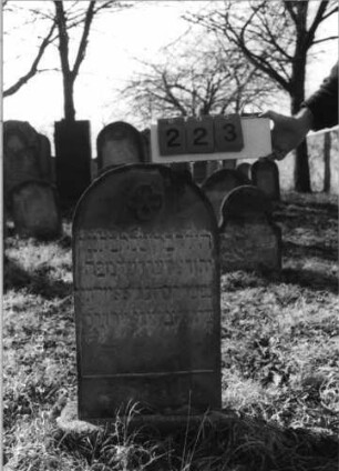 Grabstein 223 (Index: 100116030) Material: Sandstein Zustand: verwittert mit Textverlust Maße HxBxT: 77x48x11 cm Beschreibung: aufgesockelte Stele mit Rundbogenabschluß, eingetieftes Schriftfeld, weiteres Schriftfeld auf der Rückseite Symbolik: Blüte Besonderheit: Kindergrab: Grabstein 223