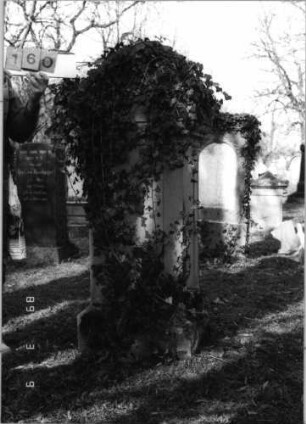 Grabstein 160 (Index: 100100232) Zustand: stark mit Efeu bewachsen Maße HxBxT: 159x50x39 cm: Grabstein 160