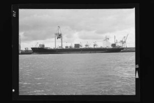 DSR Senator (1991), DSR, Rostock