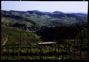 Bischoffingen: Rebhänge, von Oberbergen und Achkarren
