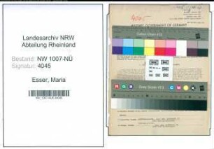 Entnazifizierung Maria Esser , geb. 01.11.1900 (Musiklehrerin)