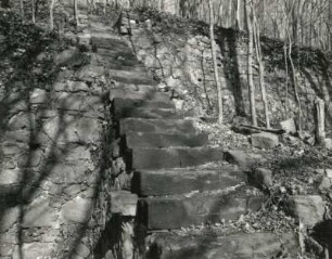 Radebeul, Augustusweg 110. Park der Villa "Jägerberg". Treppe und Mauern eines ehemaligen Weinberges