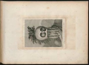 66. A Man of the Sandwich Islands, in a Mask.