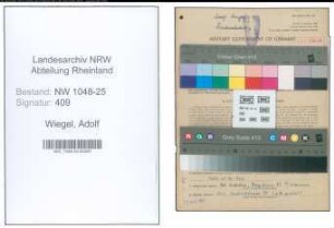 Entnazifizierung Adolf Wiegel , geb. 26.09.1901 (Koch)