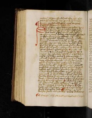 Homilia 43. Omelia XV …