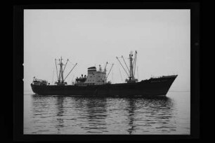 Magdalena Reith (1959), Orion, Hamburg