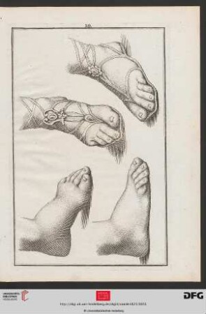 Taf. 39 [Fußstudien (Schraffur)]