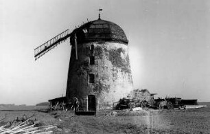 Falkenhain-Meltewitz. Turmholländer