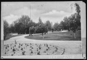 Santa Ana. Birch Park, Santa Ana, Cal.