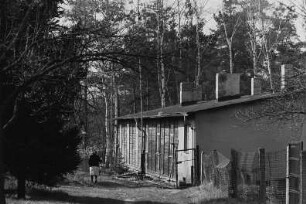 Baracke im Wald