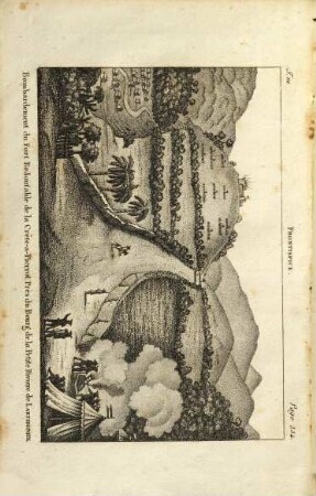 Voyages D'Un Naturaliste, Et Ses Observations : Faites sur les trois règnes de la Nature, ..., 3
