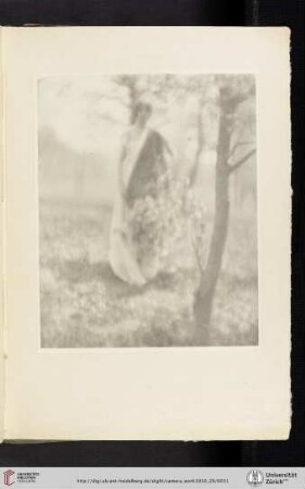 [George Henry Seeley, VIII. Spring, photogravure from the original negative]