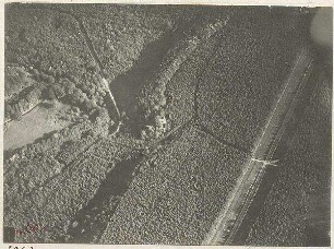 Bei Königswiesen südlich Gauting (1000 m)