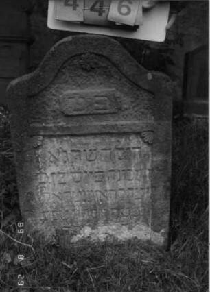 Grabstein 446 (Index: 100107981) Material: gelber Sandstein Zustand: verwittert, versalzen, eingesunken Maße HxBxT: 75x52x11 cm Beschreibung: Stele, geschwungen eingezogener Bogenabschluß, Schriftfeld rechteckig eingetieft Besonderheit: Kindergrab: Grabstein 446