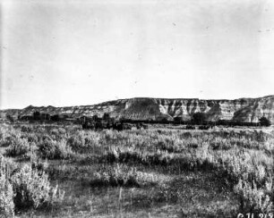 Pferdeherde : Eine Herde Pferde in der Steppe bei Medora (North Dakota).