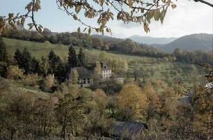 Freiburg i. Br.: Herbstliche Eichhalde