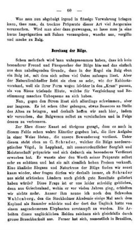 Bereitung der Bälge.