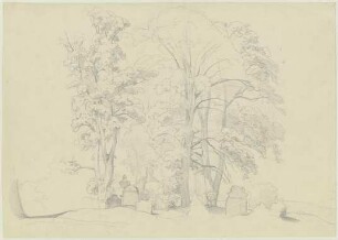 Baumgruppe auf einem Friedhof