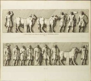 Abbildungen [Fig. I. - LXXIX.]
