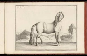 III. L´Allemand. - IV. Le Napolitain.