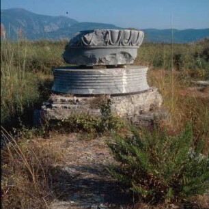 Samos. Rhoikos-Tempel. Heraion. Spira und Innensäulenkapitell vom Rhoikos-Tempel, wiederverwendet in den Fundamenten des spätarchaischen Hera-Tempels
