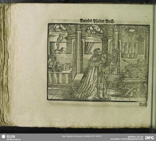 Davids Psalter Buch