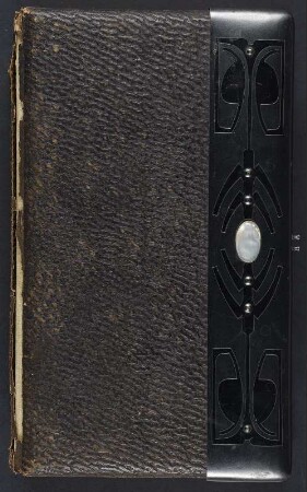 Dresdener Familienalbum : Dresdener Familienalbum. Ledereinband, geprägt mit Metallmontierung, Goldschnitt und Metallschließe; 34 x 21 x 7 cm (um 1890). Dresden: SLUB/DF 2017.D.22